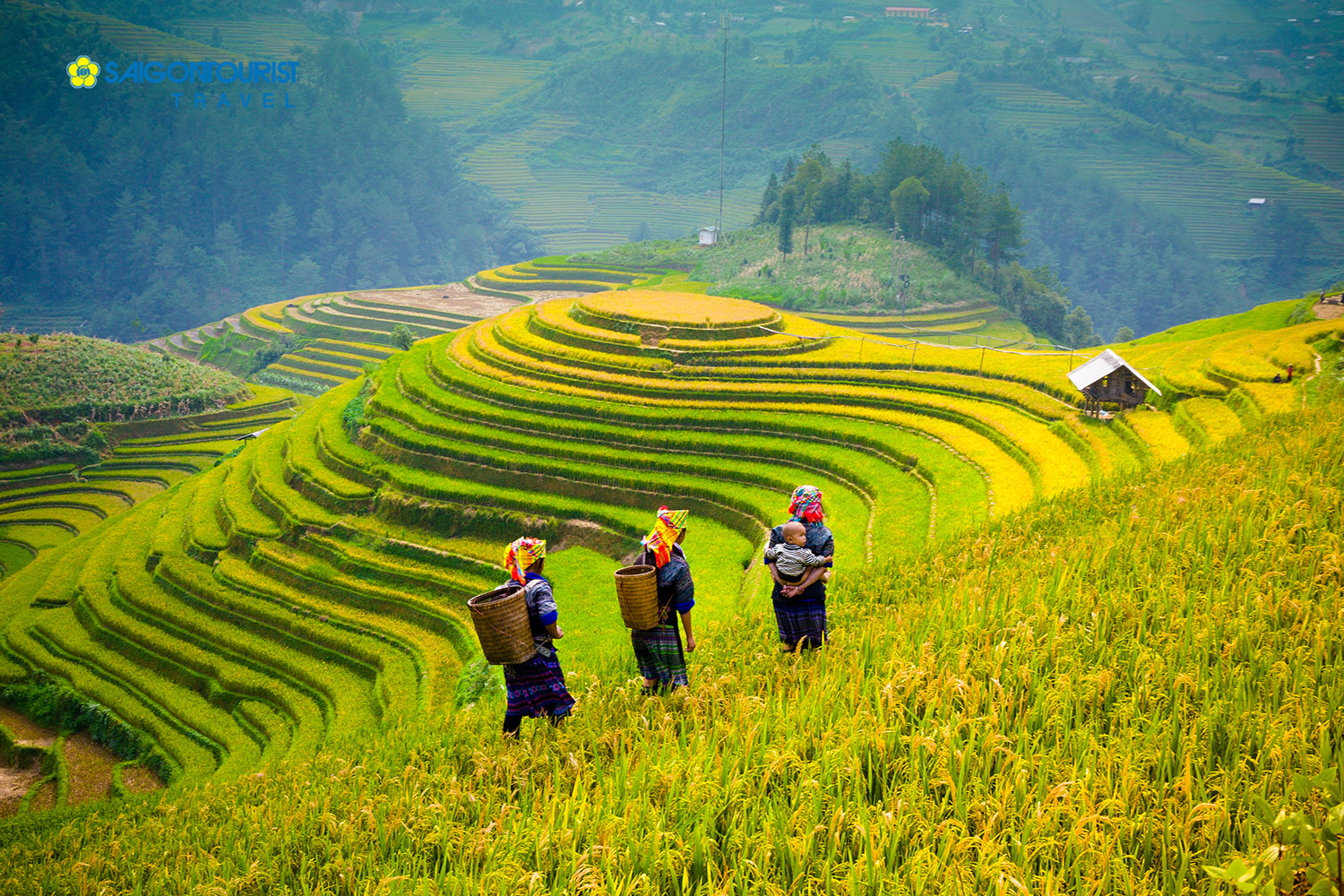 Saigontourist - Viá»‡t Nam lá»t Top 20 Quá»'c Gia Ä'áº¹p nháº¥t hÃ nh